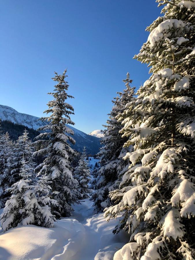 Апартаменты T2- 4Pers- Chamrousse Bachat Bouloud Экстерьер фото