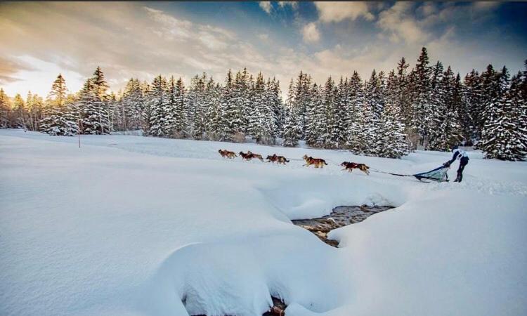 Апартаменты T2- 4Pers- Chamrousse Bachat Bouloud Экстерьер фото
